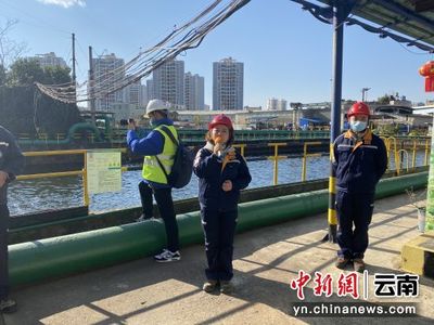 西南銅業開放環保成果，市民見證廢水養錦鯉、餐廚垃圾變資源